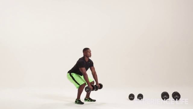 The Smart Dumbbell Complex смотреть онлайн