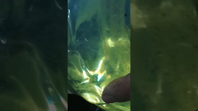 Honda инсайд. Расход топлива зимой. смотреть онлайн