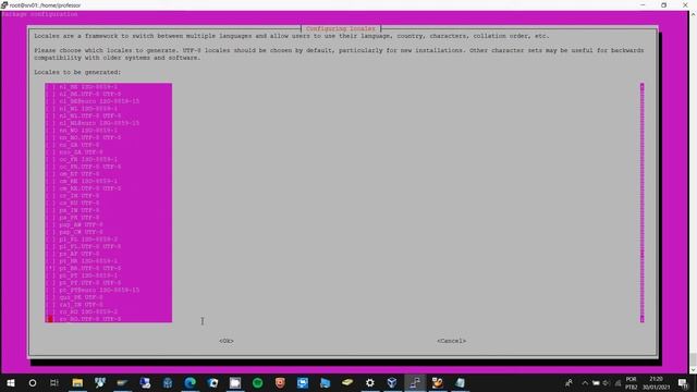 instalando idioma zabbix