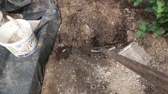 Новые цветники🌺 привели в порядок внутренний дворик😊 борьба с травой😁👍🌱🌱🌱 смотреть онлайн