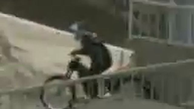 moto-trial_3_wap-sefan-ru.3gp смотреть онлайн
