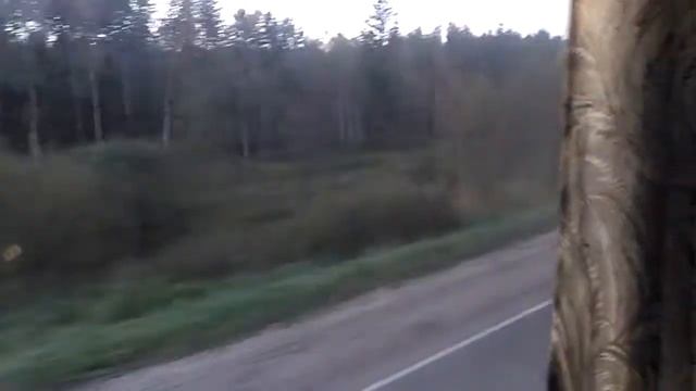 Икарус-250. Салон. (Кострома, ПАТП-3, №461). 21 сентября 2018 года. смотреть онлайн