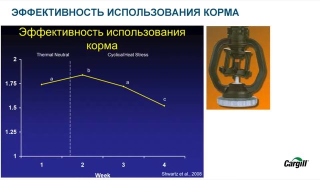 Тепловой стресс. Семинар для клиентов. смотреть онлайн