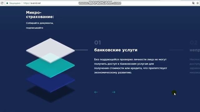 Обзор проекта EVERID #1 смотреть онлайн