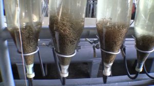 Рефтинский рыбхоз Инкубация икры Содержание малька