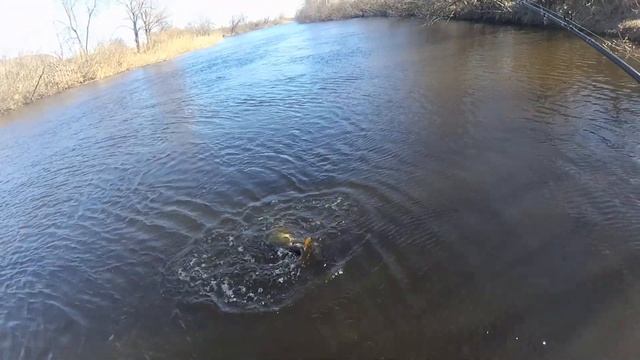 Щука весной на salmo slider 120 джерк в марте смотреть онлайн