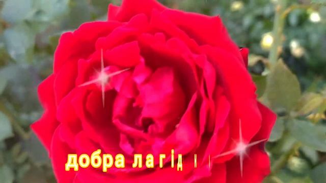 Привітання з днем народження для Каті, Катрусі, Катерини. З Днем Народження! Вітаю! смотреть онлайн