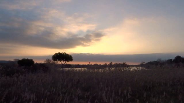 Семья Света Ченнелинг через Моник Матье ПЕРЕХОД Информационный релиз смотреть онлайн