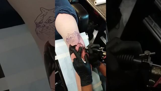 Bulldog tattoo, Part 1 смотреть онлайн