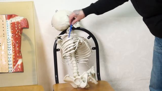 Удары в корпус спереди. Вы должны это знать! смотреть онлайн