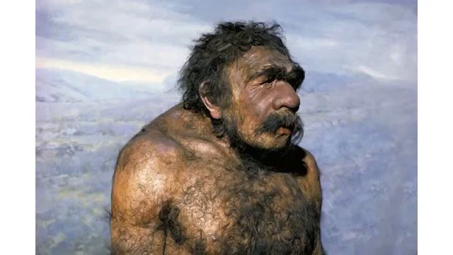 Эволюция человека смотреть онлайн