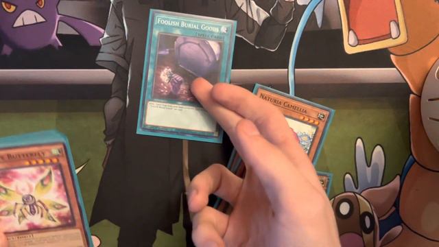 Naturia Insect/Plant Deck Combos 2023