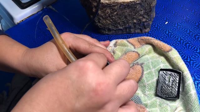 Погостили, пора и честь знать. :-)  (08.11.19)