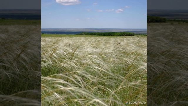 Антонио Вивальди Август смотреть онлайн