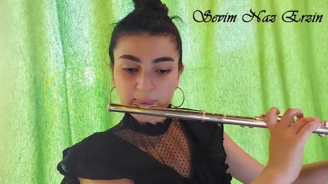 J.J Quantz Concerto In G Major (Arioso Mesto) Flute