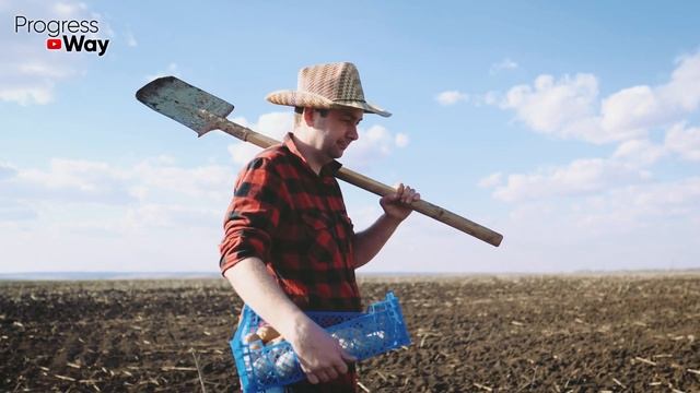 Спасибо Бабушке За Опыт. Посадила Картошку Под Зиму В Октябре Клубни Выросли В Голову Без Вредителя смотреть онлайн