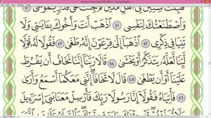 Шейх Айман Сувейд сура Та ха  стр314