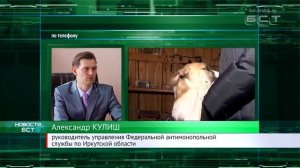 Федеральная антимонопольная служба оценила ситуацию с отловом и содержанием безнадзорных животных