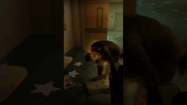 a veces el "no letal" no funciona en READY OR NOT смотреть онлайн