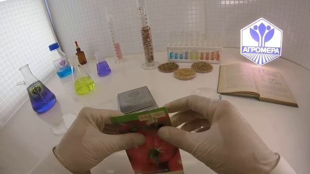 Томат Микадо. Семена Алтая смотреть онлайн