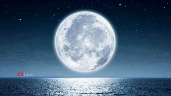 Красивые чтения Куран/ Куран / МИЛОСТИ АЛЛАХА БУДЕТ ОКРУЖАТЬ