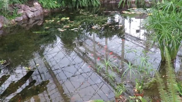 Ботанический сад - Лесная поляна(Кемерово) смотреть онлайн