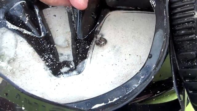 Купаюсь на море. Морские звезды, черепахи и ежи. смотреть онлайн