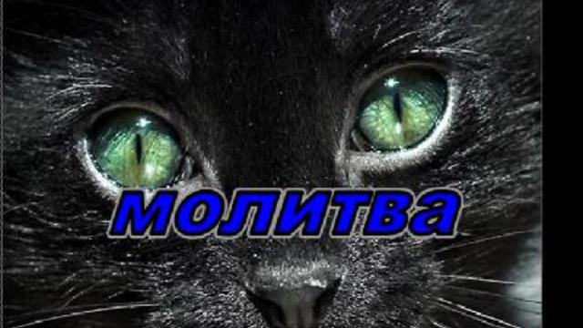 Kenny G - Ave Maria ( стих Молитва) смотреть онлайн