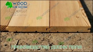 Доска пола. Половая доска из Лиственницы Сибирской