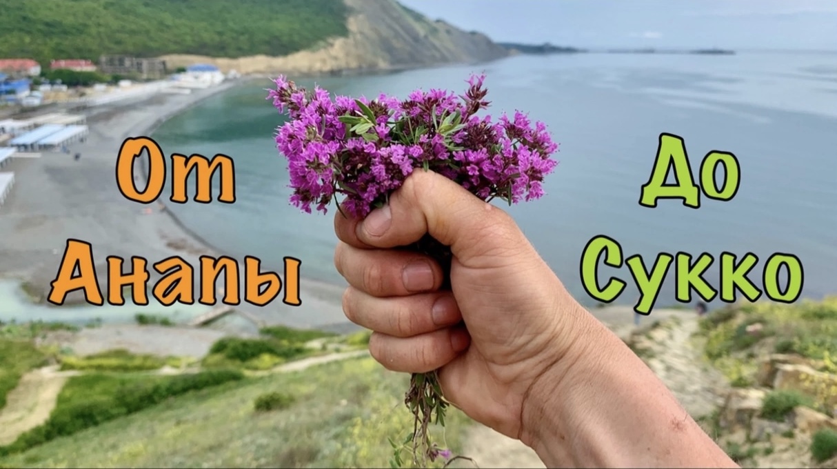 Анапа, день 2. От Супсеха до Сукко