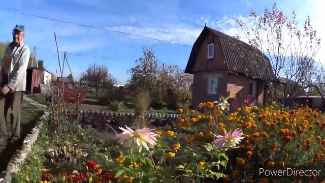 На даче. Суетимся перед морозами. Последние тёплые дни этой осени.Vlog.Брест