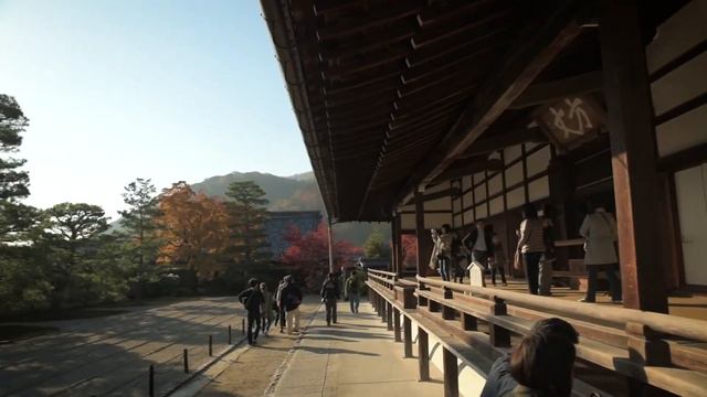 How To Spend 9 Days In Japan | Itinerary for Your First Trip to Japan смотреть онлайн