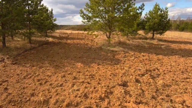 Весенние работы в агропарке Угра-Дубрава смотреть онлайн