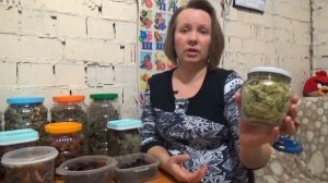 К зиме готовы. Что можно сушить в электросушилке.