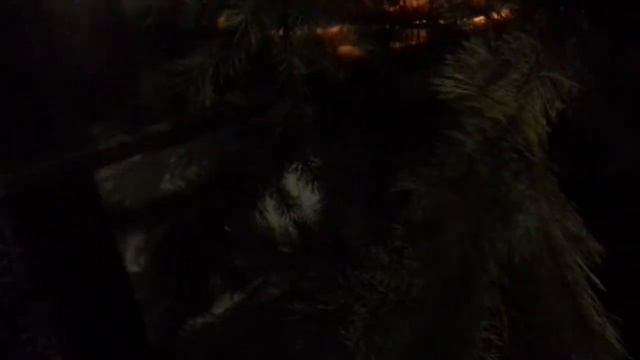 Выкидываем ёлку, через балкон. смотреть онлайн