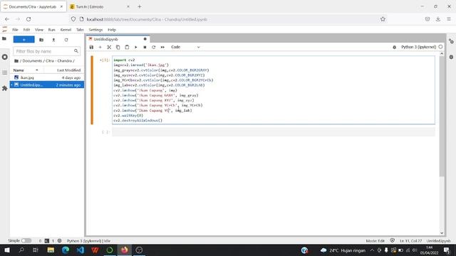 Konversi Warna dan meyimpan gambar Menggunakan Python смотреть онлайн
