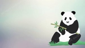 Панда: живое сокровище Китая | Большая панда | Познавательное видео