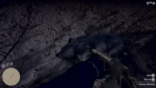 Red Dead Redemption ll - opossum animal in Armadillo city смотреть онлайн