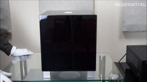 Знакомство с сабвуфером REL T5i