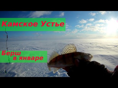 Камское Устье глухозимье 2022г. Зимняя рыбалка на берша в январе..mp4 смотреть онлайн