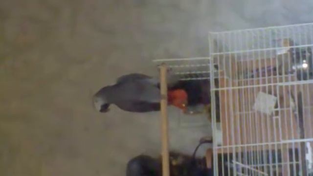 22052011145.mp4 смотреть онлайн