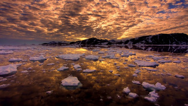 Новый HD тизер самого зрелищного проекта сезона "All I Can"				