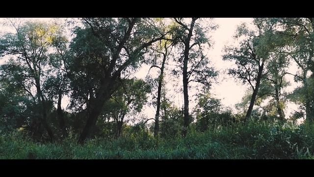 Дорога на рыбалку | Canon EOS 250D cinematic смотреть онлайн