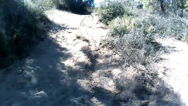 Прогулка по турецкому лесу в Сиде / Walk Through The Forest In Side