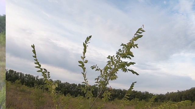 Лучшие выстрелы от Снегиря до Егеря смотреть онлайн