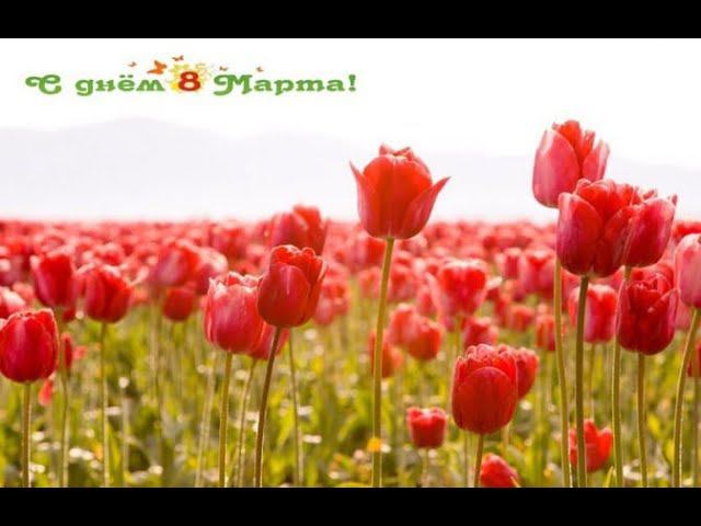 Праздник Весны! Начало нового садового сезона! смотреть онлайн