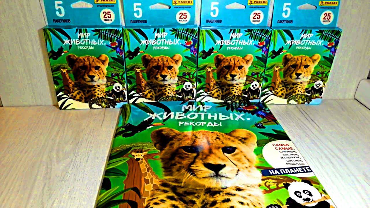 Panini Мир Животных. Рекорды - последние 4 блистера смотреть онлайн
