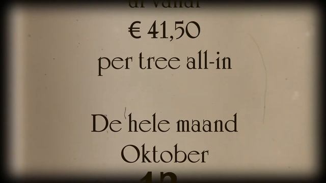 Marmoleum Thuis Emmeloord