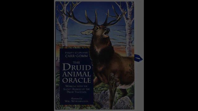 Druid Animal Oracle Hardcover Review смотреть онлайн