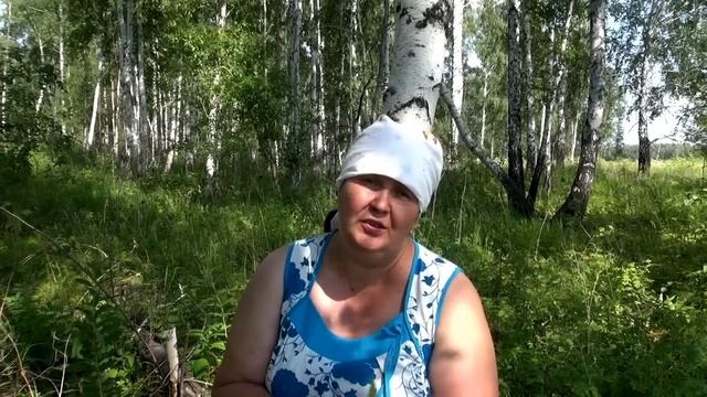 КОСТЯНИКА КАМЕНИСТАЯ || Полезные свойства и применение смотреть онлайн